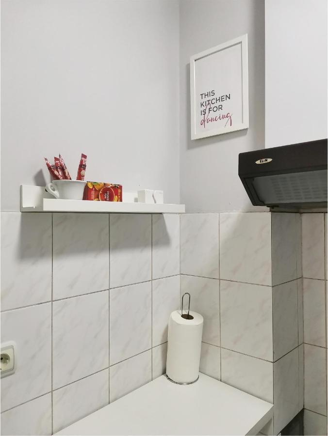 Center Apartment Iva 노비사드 외부 사진